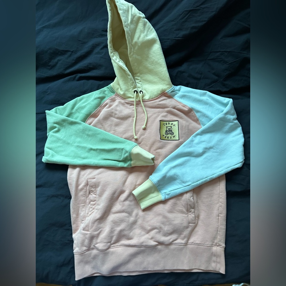 TEDDY FRESH colour block hoodie unisex